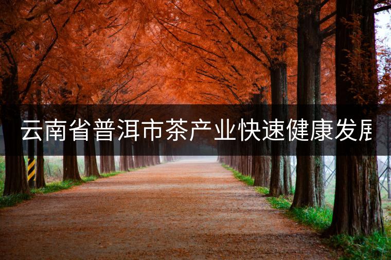 云南省普洱市茶產(chǎn)業(yè)快速健康發(fā)展 總產(chǎn)值86億元