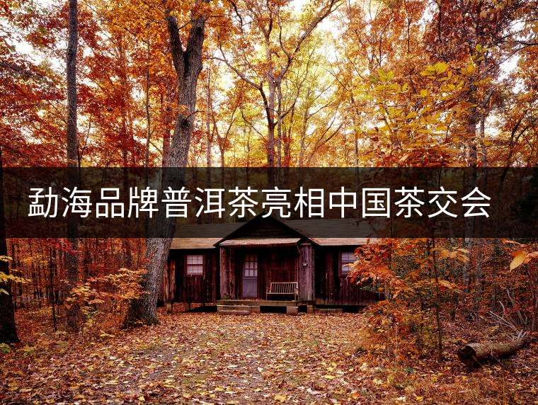 勐海品牌普洱茶亮相中國茶交會 百余茶企參展