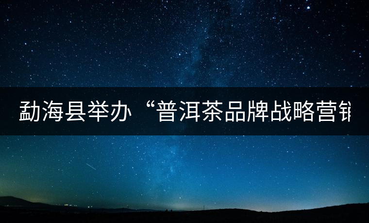勐?？h舉辦“普洱茶品牌戰(zhàn)略營銷專題講座”