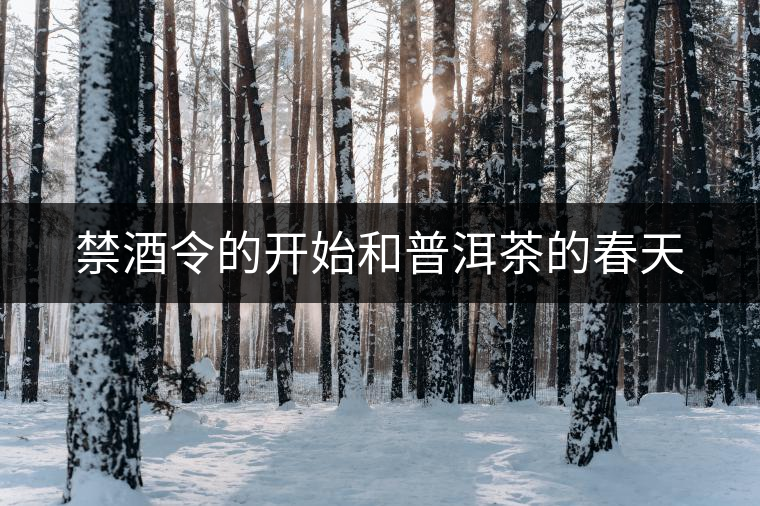 禁酒令的開始和普洱茶的春天