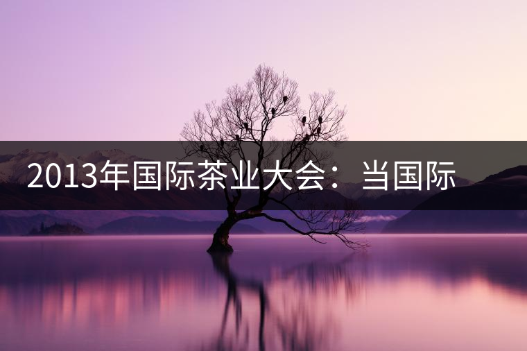 2013年國際茶業(yè)大會(huì)：當(dāng)國際元素遇上普洱