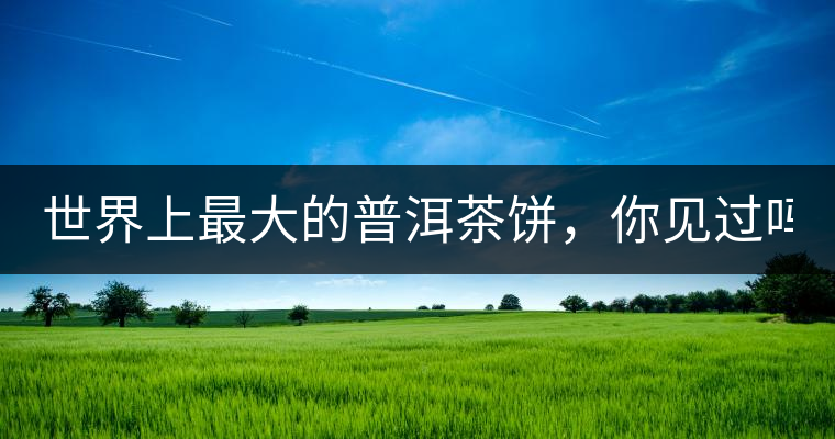 世界上最大的普洱茶餅，你見(jiàn)過(guò)嗎？