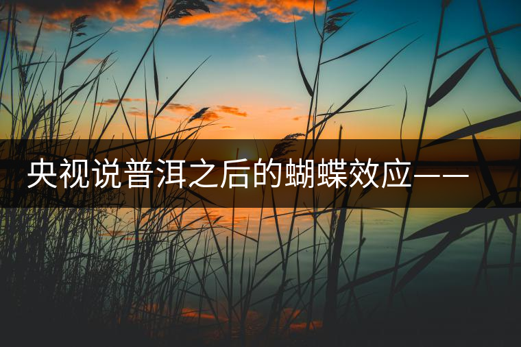 央視說普洱之后的蝴蝶效應(yīng)——過度開采會(huì)出現(xiàn)“死循環(huán)”？
