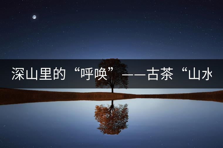 深山里的“呼喚”——古茶“山水間”