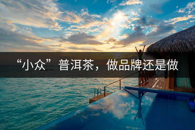 “小眾”普洱茶，做品牌還是做圈子？