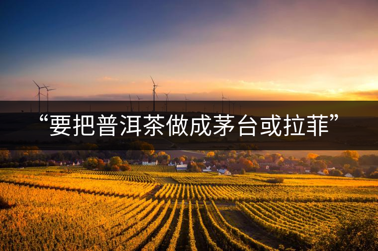 “要把普洱茶做成茅臺(tái)或拉菲”