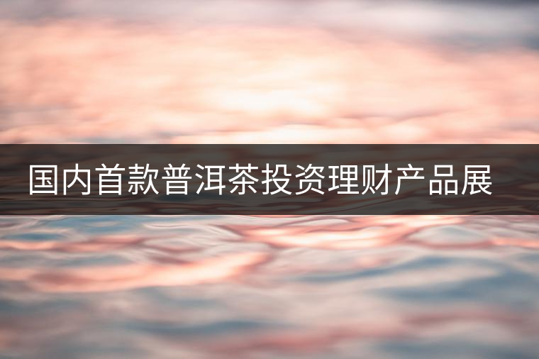 國內首款普洱茶投資理財產(chǎn)品展開路演推介 國內首款普洱茶投資理財產(chǎn)品展開路演推介