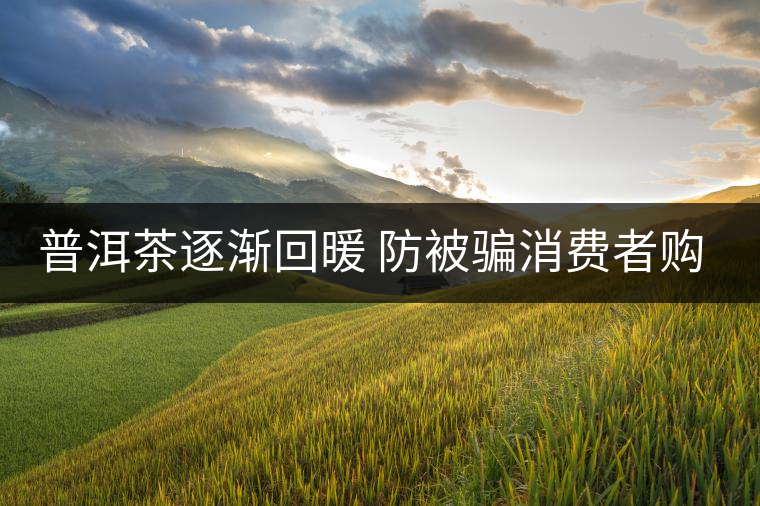 普洱茶逐漸回暖 防被騙消費(fèi)者購(gòu)買(mǎi)需認(rèn)準(zhǔn)QS標(biāo)志