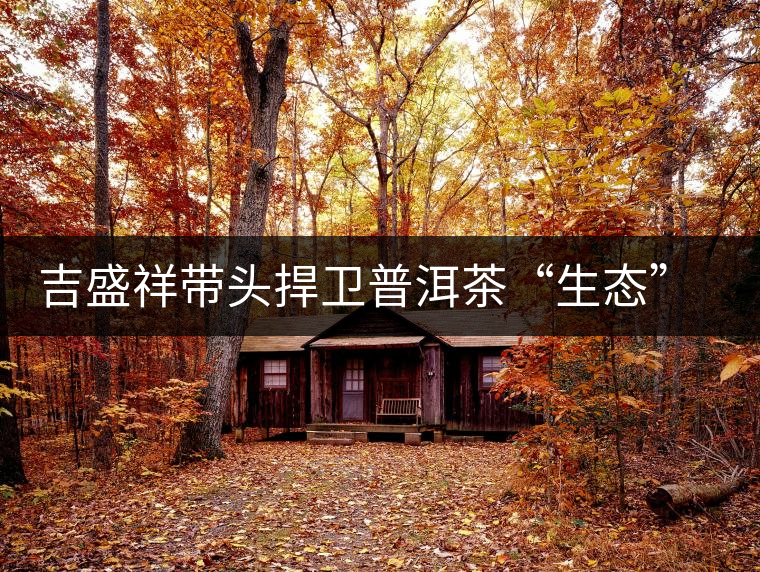 吉盛祥帶頭捍衛(wèi)普洱茶“生態(tài)”坐標 吉盛祥帶頭捍衛(wèi)普洱茶“生態(tài)”坐標