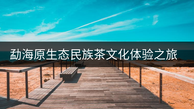 勐海原生態(tài)民族茶文化體驗(yàn)之旅拉開序幕