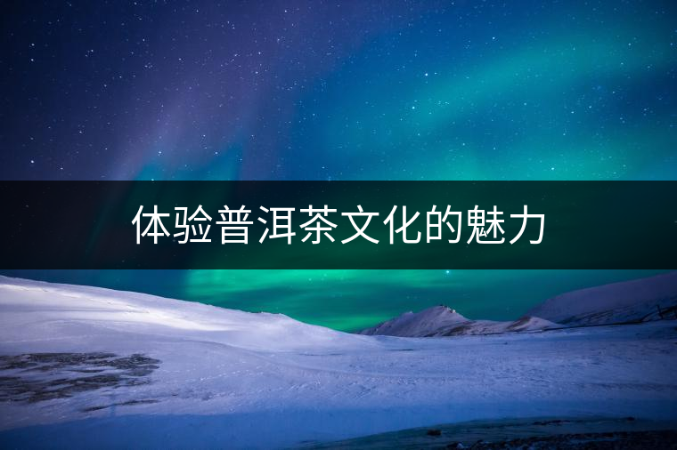 體驗普洱茶文化的魅力 體驗普洱茶文化的魅力