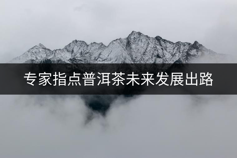 專家指點(diǎn)普洱茶未來(lái)發(fā)展出路