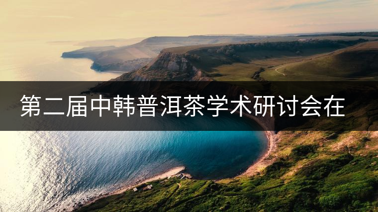 第二屆中韓普洱茶學(xué)術(shù)研討會在首爾舉行