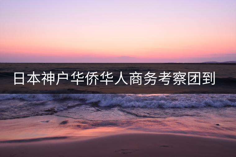 日本神戶華僑華人商務考察團到普洱市考察 日本神戶華僑華人商務考察團到普洱市考察