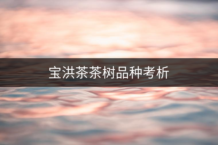 寶洪茶茶樹(shù)品種考析 寶洪茶茶樹(shù)品種考析