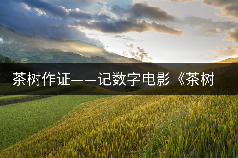 茶樹(shù)作證——記數(shù)字電影《茶樹(shù)下》的拍攝