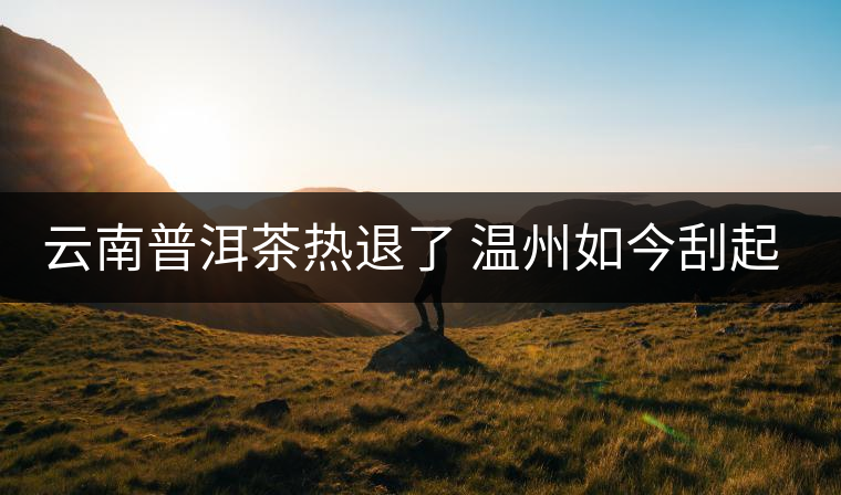 云南普洱茶熱退了 溫州如今刮起了“黑茶風(fēng)”