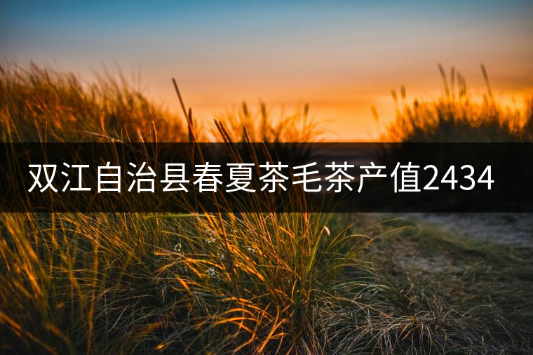 雙江自治縣春夏茶毛茶產(chǎn)值243465.12萬元，平均價穩(wěn)居全市版首