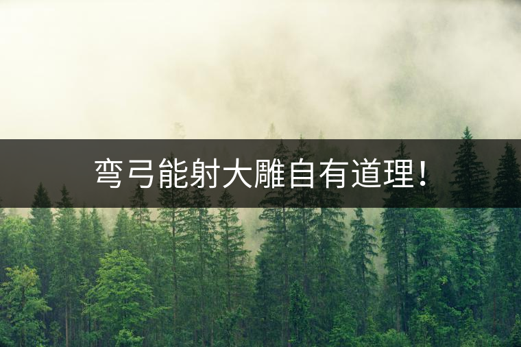 彎弓能射大雕自有道理！