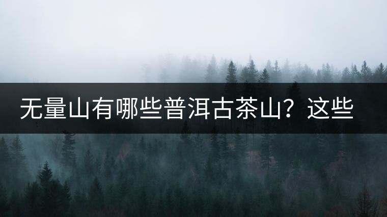 無(wú)量山有哪些普洱古茶山？這些古茶山的茶葉怎么樣？