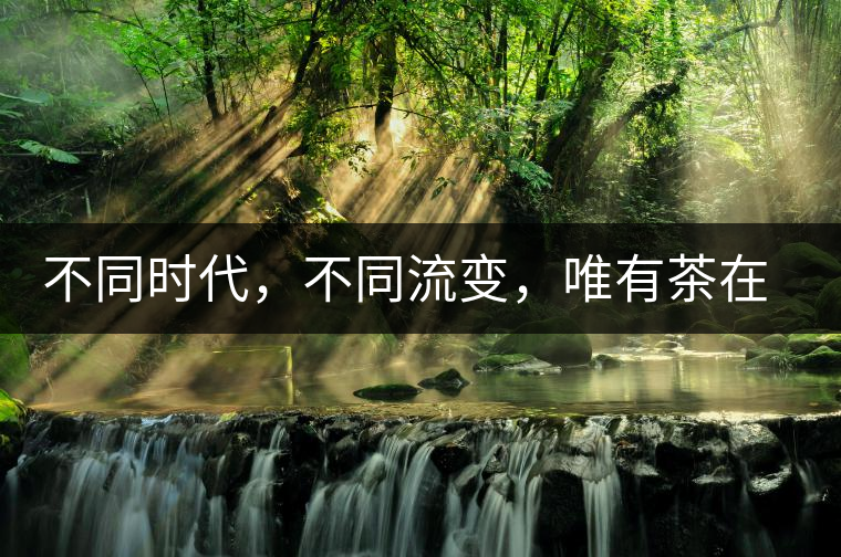 不同時代，不同流變，唯有茶在傳承