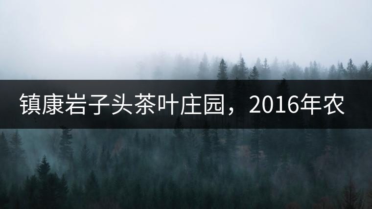 鎮(zhèn)康巖子頭茶葉莊園，2016年農(nóng)業(yè)產(chǎn)值達(dá)6000余萬元