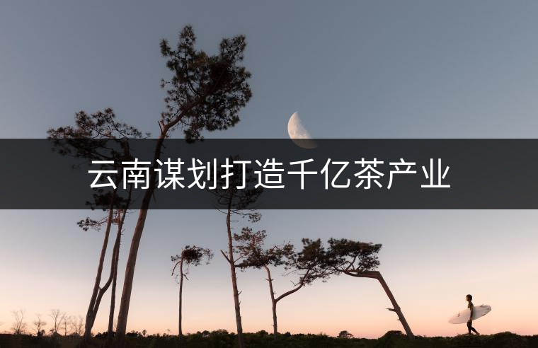 云南謀劃打造千億茶產(chǎn)業(yè)