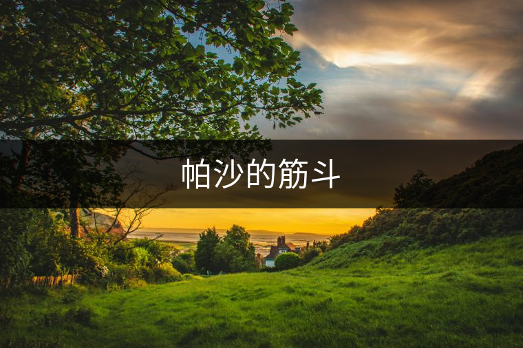 帕沙的筋斗 帕沙的筋斗