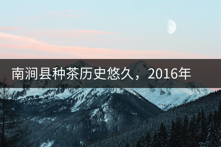 南澗縣種茶歷史悠久，2016年被評為全國十大生態(tài)產(chǎn)茶縣