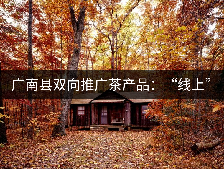 廣南縣雙向推廣茶產(chǎn)品：“線上”銷售茶葉已有100多家，“線下”銷售額已達(dá)百萬