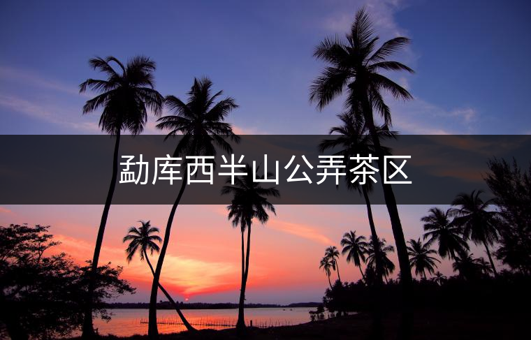 勐庫(kù)西半山公弄茶區(qū) 勐庫(kù)西半山公弄茶區(qū)