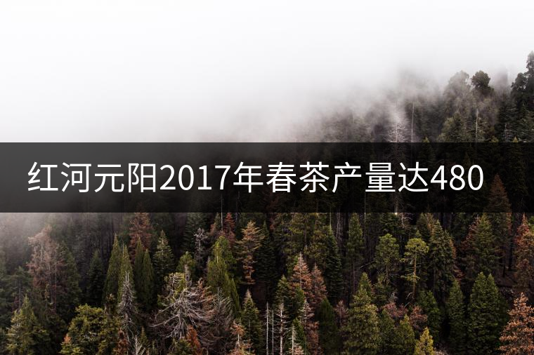 紅河元陽(yáng)2017年春茶產(chǎn)量達(dá)480噸，產(chǎn)值近900萬(wàn)元