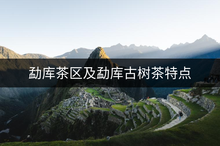 勐庫茶區(qū)及勐庫古樹茶特點 勐庫茶區(qū)及勐庫古樹茶特點