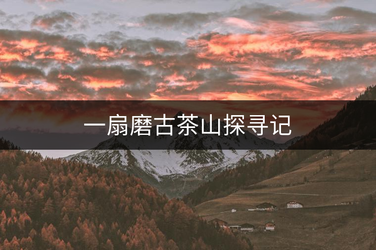 一扇磨古茶山探尋記
