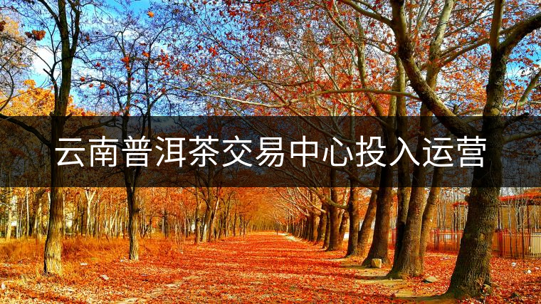 云南普洱茶交易中心投入運(yùn)營 云南普洱茶交易中心投入運(yùn)營