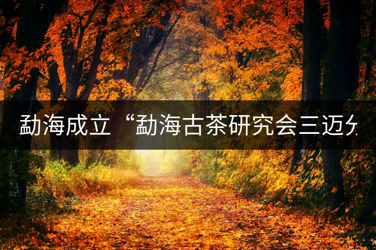 勐海成立“勐海古茶研究會三邁分會”