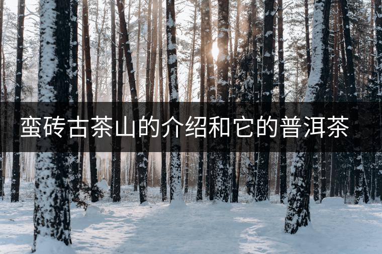 蠻磚古茶山的介紹和它的普洱茶特點(diǎn) 蠻磚古茶山的介紹和它的普洱茶特點(diǎn)