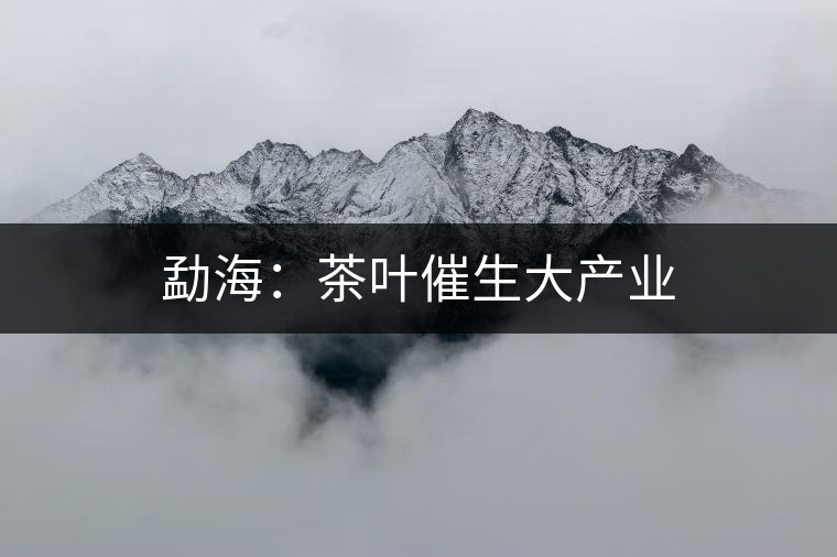 勐海：茶葉催生大產(chǎn)業(yè)