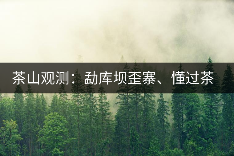 茶山觀測：勐庫壩歪寨、懂過茶山、大戶寨等茶山的生態(tài)指數