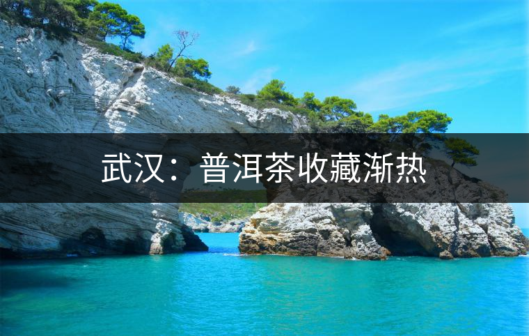 武漢:普洱茶收藏漸熱 武漢:普洱茶收藏漸熱