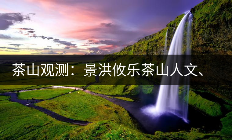 茶山觀測：景洪攸樂茶山人文、生態(tài)指數(shù)