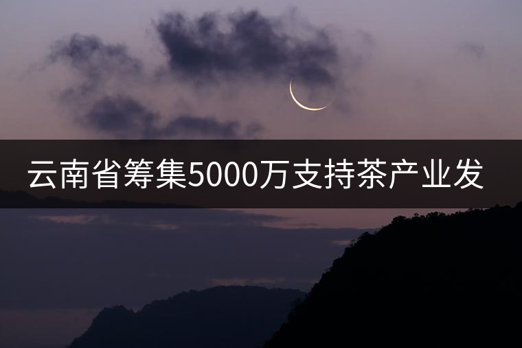 云南省籌集5000萬支持茶產業(yè)發(fā)展