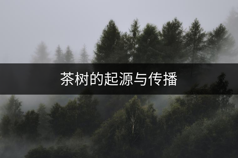 茶樹的起源與傳播