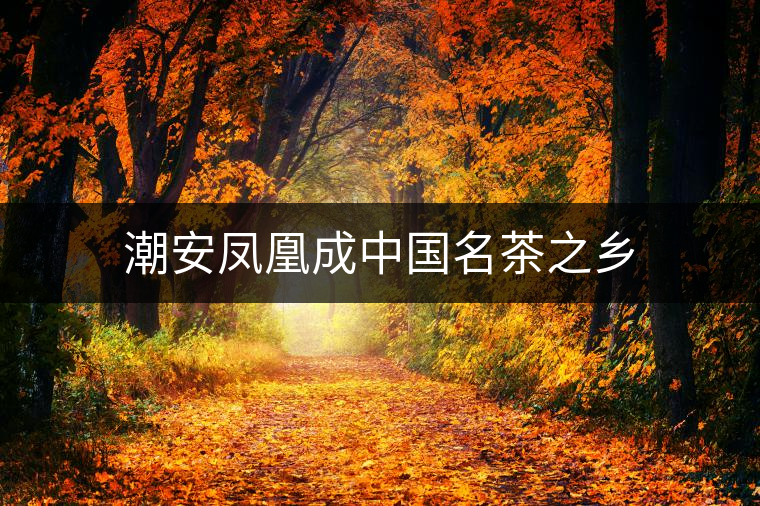 潮安鳳凰成中國(guó)名茶之鄉(xiāng) 潮安鳳凰成中國(guó)名茶之鄉(xiāng)