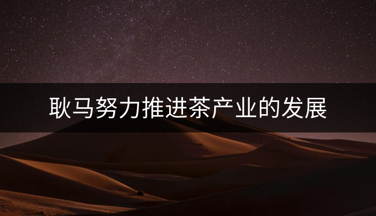 耿馬努力推進茶產(chǎn)業(yè)的發(fā)展