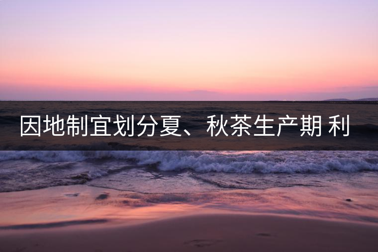 因地制宜劃分夏、秋茶生產(chǎn)期 利于采摘品質(zhì)