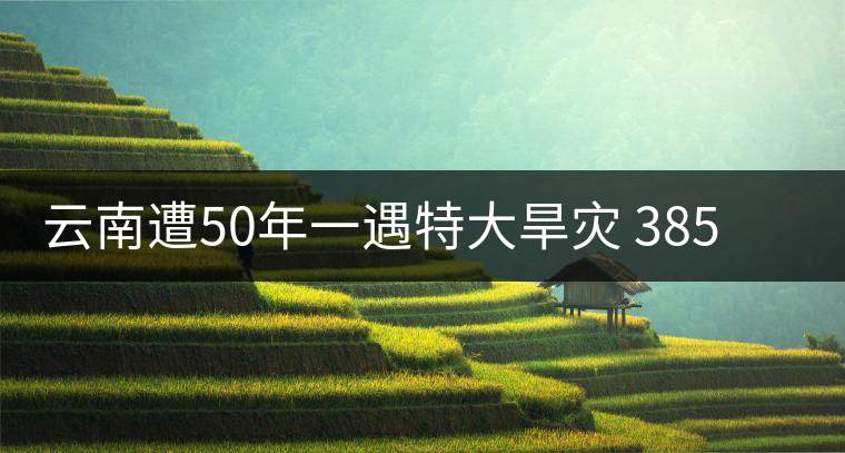 云南遭50年一遇特大旱災 385萬人飲水困難