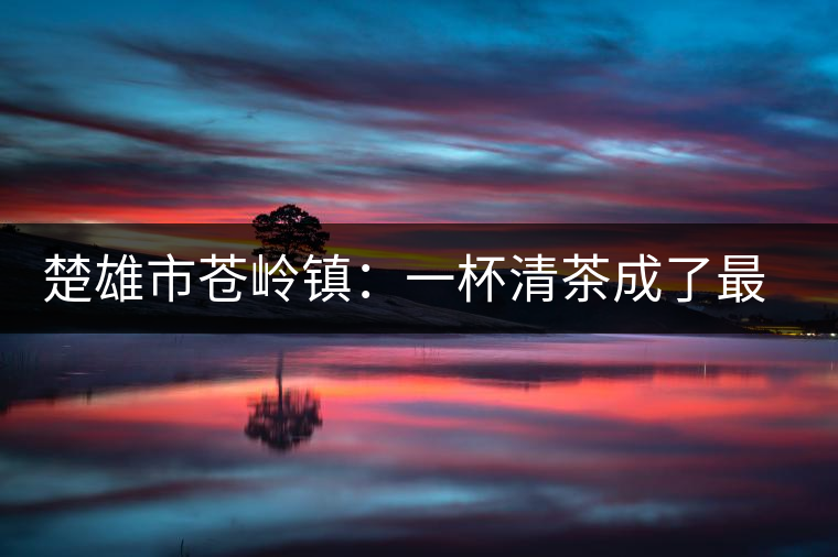 楚雄市蒼嶺鎮(zhèn)：一杯清茶成了最奢侈的待客之物