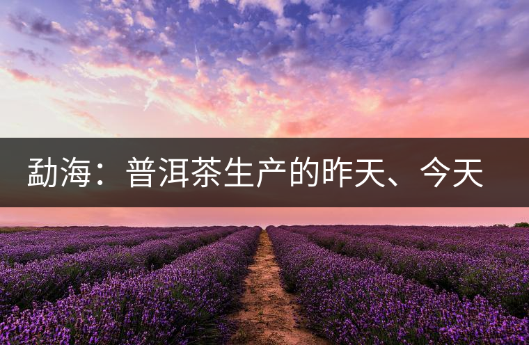 勐海：普洱茶生產(chǎn)的昨天、今天、明天