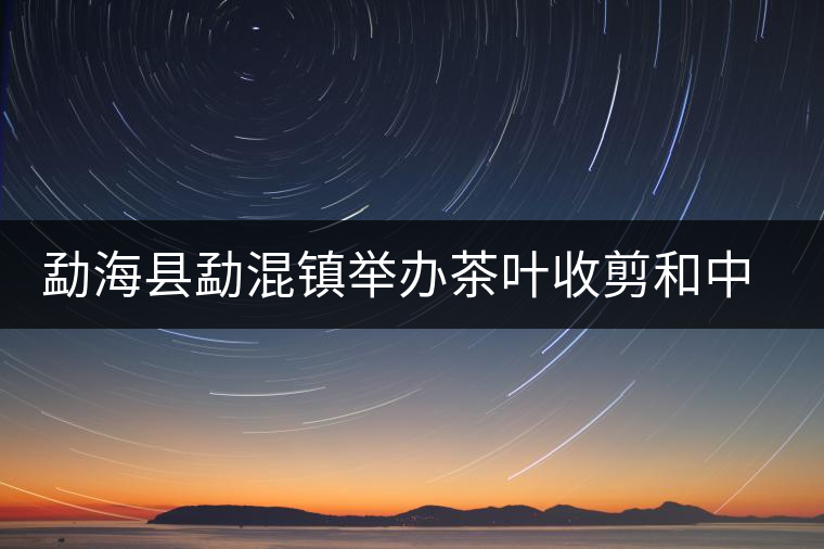 勐?？h勐混鎮(zhèn)舉辦茶葉收剪和中耕培土現(xiàn)場培訓(xùn)會